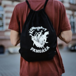 Pangaea Gym Bag worn on back